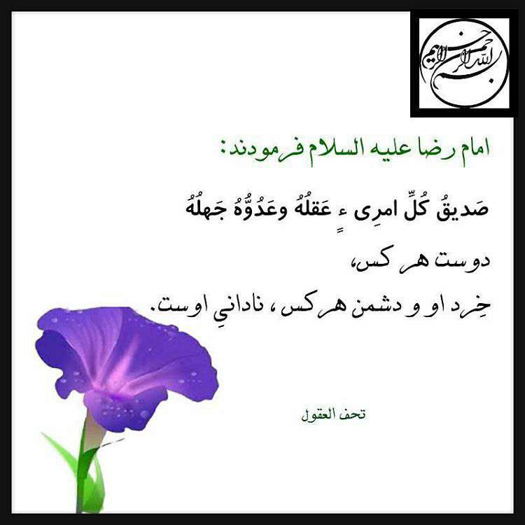 دوست و دشمن هرکس